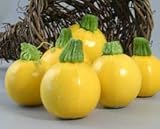 One Ball Squash 15 Seeds - GARDEN FRESH PACK!
