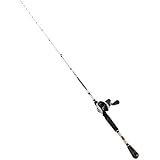 lew's mach inshore baitcast combo