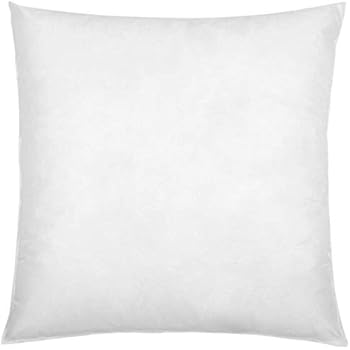Amazon Com Dreamhome Square Poly Pillow Insert 18 L X 18 W