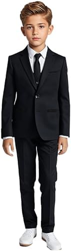 Raphael Men's Regular Classic Fit Solid Color 2 Button Mens Suit