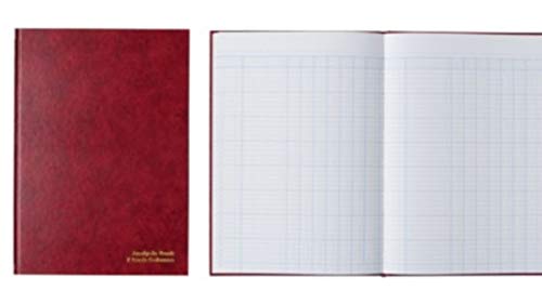 A4 Analysis Book 7 Cash Columns