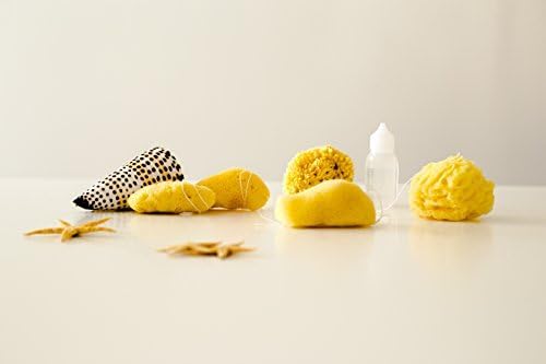 Natural Sea Tampons by Poseidon Sponge (Full Set) by Poseidon Sponge