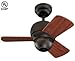 Monte Carlo 3TF24RB Downrod Mount, 3 Wood Finish Blades Ceiling fan, Roman Bronze