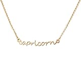 Lux Accessories Capricorn Goat December January Horoscope Zodiac Word Pendant Necklace