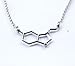 Anatomology Pewter Serotonin Molecule Cast Necklace, Serotonin Necklace Sterling Silver Chain Gift Packaged with informational Card