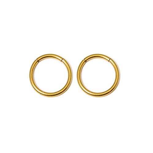 16g 3/8" Seemless Segment Ring Gold Anodized Surgical Steel 2pc By Eg Gifts