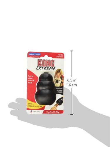 KONG Extreme Dog Toy, Medium, Black