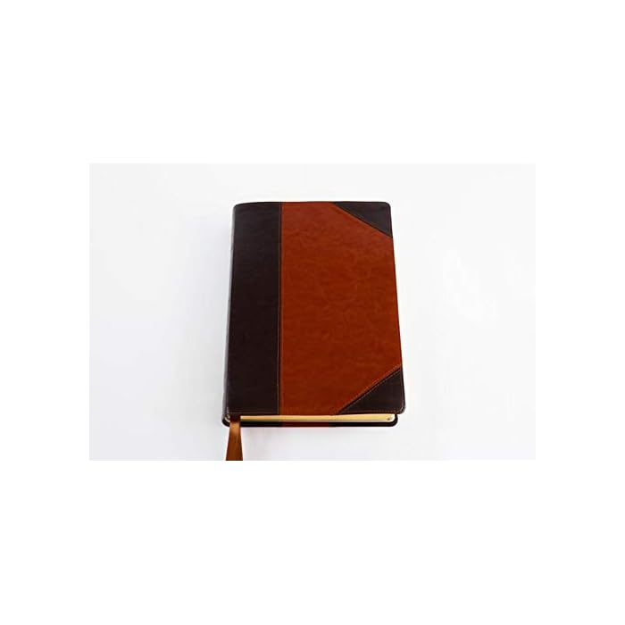 buy-kjv-color-study-bible-with-ellen-white-comments-large-prints