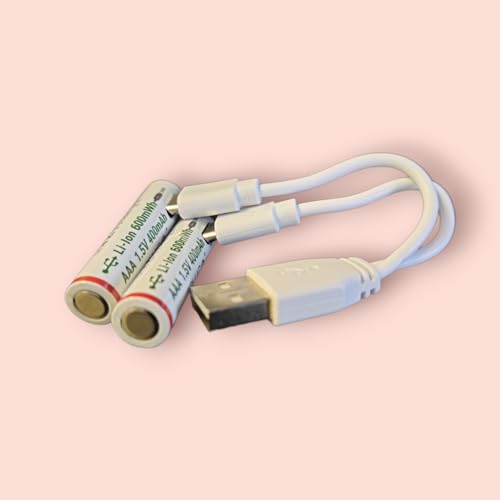 Batterie USB - Batterie au lithium AAA 1,5 V - Avec câble de charge USB type C 2 en 1 - 600 mWh - Lot de 2
