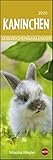 Kaninchen 2020 Lesezeichen & Kalender by 