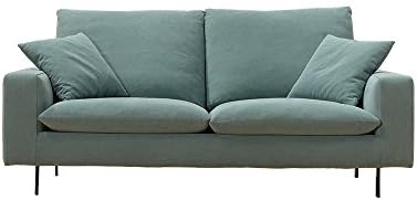 Ucofor DS15-027B Customized Modern Minimalist Comfortable 2 Person Contemporary Upholstered Linen Sofa with Metal Leg (1 Seater)