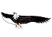 The Mighty Bald Eagle 3d Kite with 6'- 6