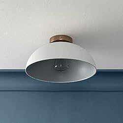Globe Electric 61020 Monica 1-Light Semi-Flush