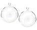 6.5-Inch Hanging Glass Terrariums for Succulents and Air Plants, Large Glass Orb Planters (Set of 2)