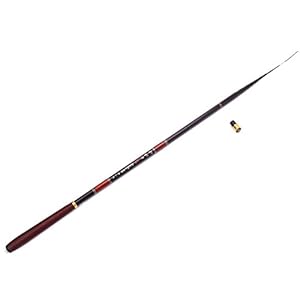 Yanhonin 2.7-7.2m Canne à Pêche Carpe, Canne à Peche Portative De Ultra-légère Télescopique En Fibre De Carbone (5.4m)