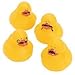 Fun Express 12 Mustache Moustache Rubber Ducks Birthday Baby Boy Shower Party Favors Decoration