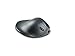Hippus L2UB-LC Wireless Light Click HandShoe Mouse (Right Hand, Large, Black) primary