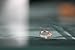 JUST N1 18K Rose Gold Plated Cute Bow Knot Design Engagement Rings for Girls Women, Size 6 to 11