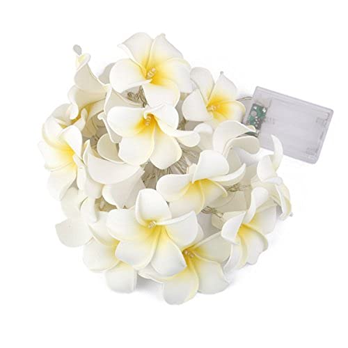 LEDMOMO 20 LED Frangipani Flower String Lights Battery Powered Fairy Lights (Warm White Light)