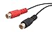 WYVERN AUDIO Stereo Mini Male to Dual Female RCA Jack Adapter Cable