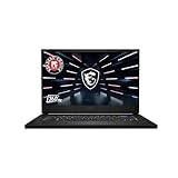 MSI Stealth GS66 Gaming Laptop: Intel Core