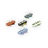 HEXBUG-415-4574-06GL06-nano-Nitro-5-Pack-Multicolor HEXBUG 415-4574-06GL06 nano Nitro 5 Pack - Multicolor