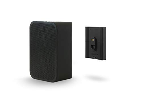 Bluesound Pulse Flex 2i + BP100 Battery Pack Bundle – Black