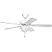 Progress Lighting P2621-30EBWB 2-Light Fan Light Kit Energy Star Rated, White