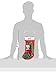 Zanies Five-Piece Holiday Surprise Stockings for Dogs
