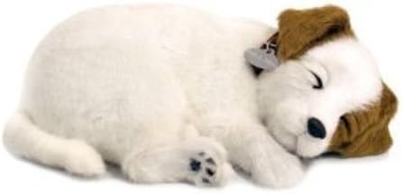 precious petzzz amazon