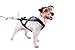 Non-stop dogwear Freemotion Harness: Padded for Active Dogs, Canicross, Skijoring & Bikejoring (7)
