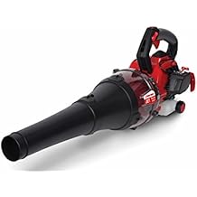 leaf blowers amazon prime