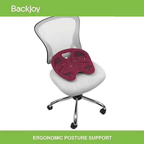 Backjoy Posture Seat | Backjoy Japan – DBLUK