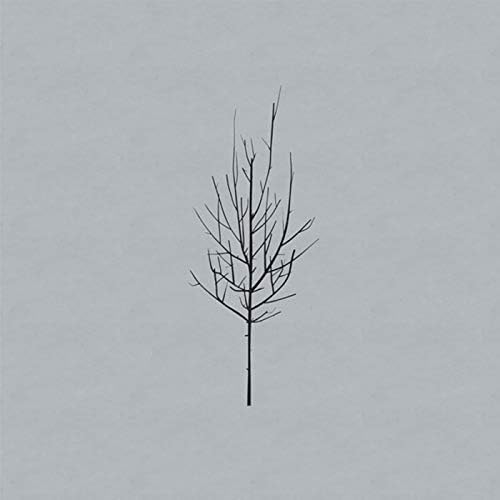 Low - Secret Name - Amazon.com Music