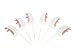 Bilipala 24Pcs Nautical Theme Cupcake Toppers Food Fruit Picks for Decoration