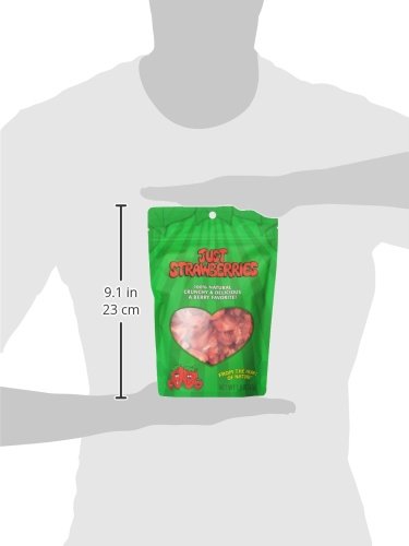 image for Karen's Naturals Just Strawberries, 1.5 Ounce Pouch (Packaging May Var
