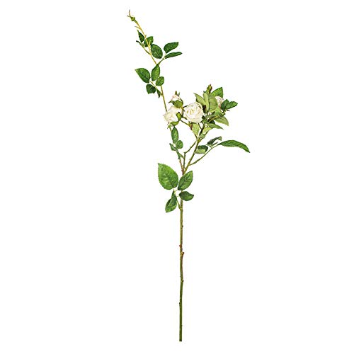 EUROCINSA Ref.40322C02 CABBAGE ROSE IVORY, Box of 12, 70 cm