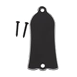 Dovewill Durable Guitar Parts 2-hole Truss Rod Cover Plate for Gibson Les Paul Black 3-Ply