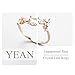 Yean Crystal Engagement Ring Jewelry Fashion Leaf Laurel Rose Gold Nail Ring for Women and Girls