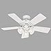 Hunter Southern Breeze Indoor Ceiling Fan with LED Lights and Pull Chain Control