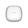 Sony-WF-SP700N-Truly-Wireless-Noise-Cancelling-Sports-Headphones-with-EXTRA-BASS-and-IPX4-Splash-Proof-White Sony WF-SP700N Truly Wireless Noise-Cancelling Sports Headphones with EXTRA BASS and IPX4 Splash Proof - White