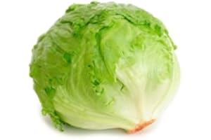 Kejora Iceberg Lettuce - 2 count