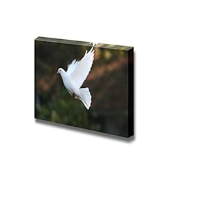 Canvas Prints Wall Art - Dove Fly in The Air wiht Forest Background.Outdoor - 12" x 18"