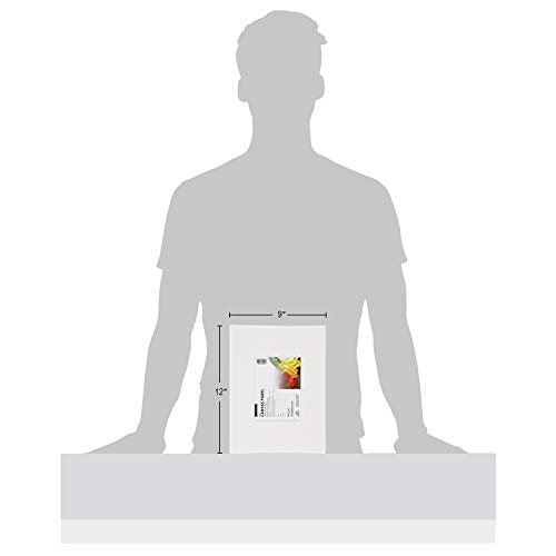 3 Phoenix+Painting+Canvas+Panel+Boards