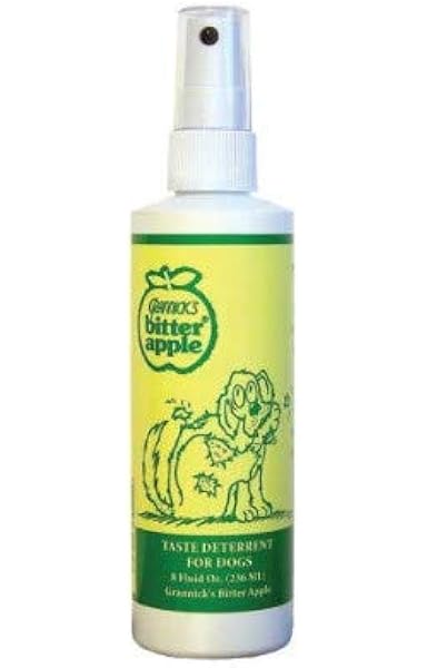 stuffed animals for cats