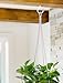 ENTHUR Ceiling Hooks, 2 Inches Cup Hook Holder Screw-in Hooks for Hanging Plants Mugs Kitchen Utensils Wind Chimes Indoor and Outdoor Use, White - 12 Pack