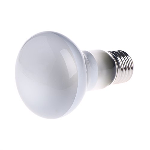 Qupida Basking Spot Lamp 25/50/75/100 WATT UVA UVB Mercury Vapor Bulb/Lamp/Light for Reptile and Amphibian Use (White, 25)
