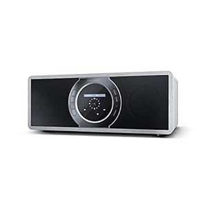 Sharp DR-I470 (GR) PRO digitale stereo internetradio met DAB/DAB+/FM-tuner, Bluetooth V2.1 + Edr, volledige bediening…