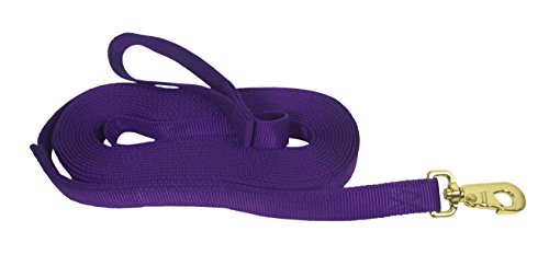 Hamilton 26 ft Nylon Horse Longe Line, Purple