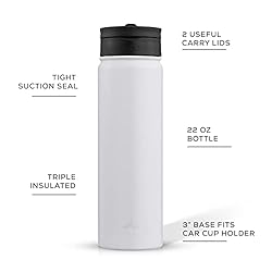 JoyJolt Triple Insulated Water Bottle with Straw